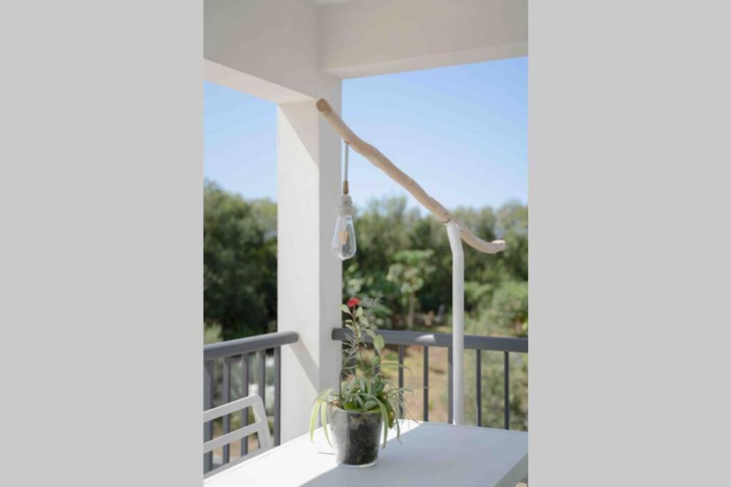 Ti-Punch T3 Climatise Manapany Les Bains Apartamento Exterior foto